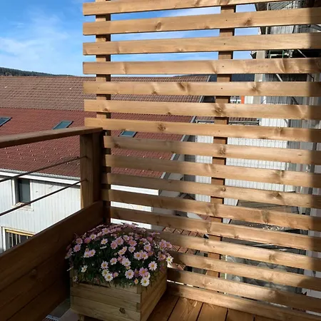 Place Des Vosges Gerardmer Exterior photo