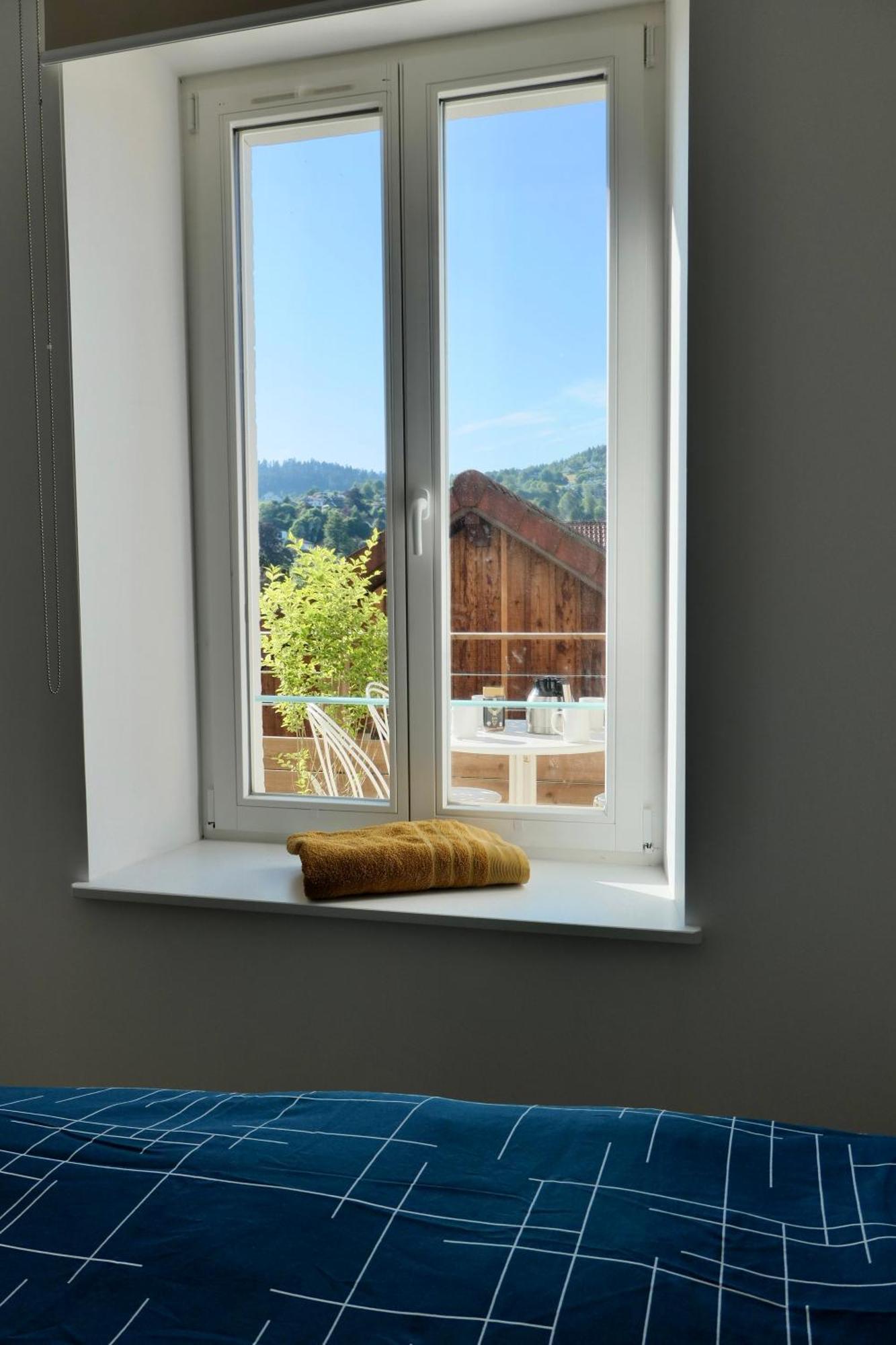Apartment Place Des Vosges Gerardmer