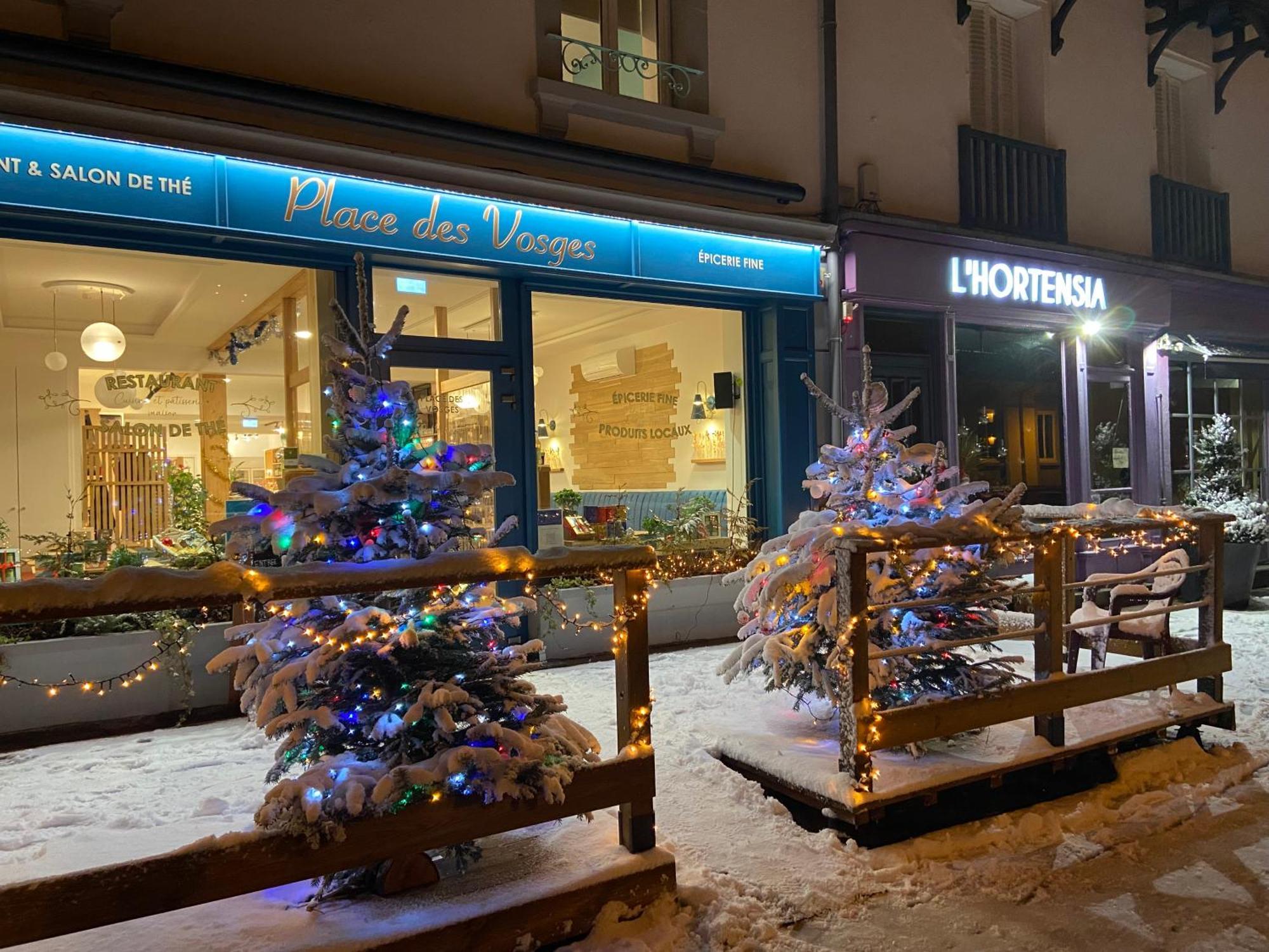 Place Des Vosges Apartment Gerardmer